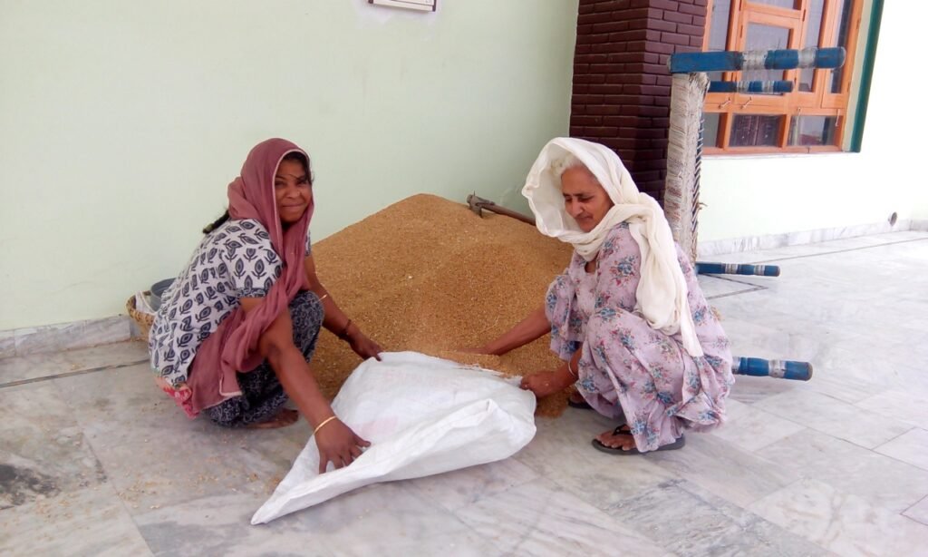 Women at work in a village courtyard in rural Punjab